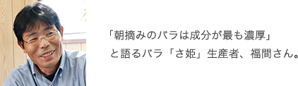 「朝摘みのバラは成分が最も濃厚」と語るバラ「さ姫」生産者、福間さん