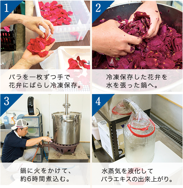1.バラを一枚ずつ手で花弁にばらし冷凍保存。→ 2.冷凍保存した花弁を水を張った鍋へ。→ 3.鍋に火をかけて、約6時間煮込む。→ 4.水蒸気を液化してバラエキスの出来上がり。