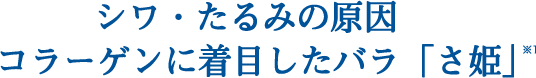 シワ・たるみの原因コラーゲンに着目したバラ「さ姫」※1