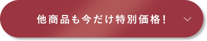 他商品も今だけ特別価格！