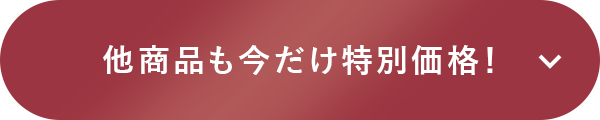 他商品も今だけ特別価格！