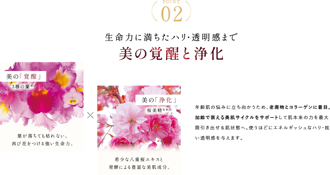 生命力に満ちたハリ・透明感まで美の覚醒と浄化