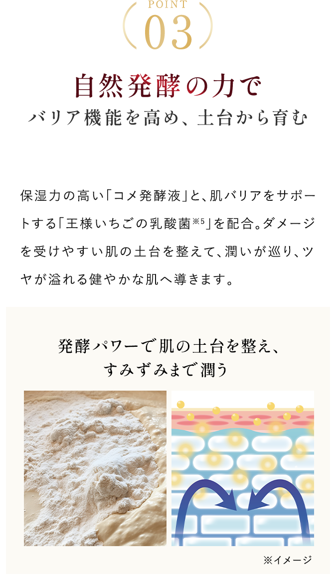 自然発酵の力でバリア機能を高め、土台から育む