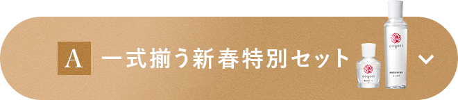 一式揃う新春特別セット