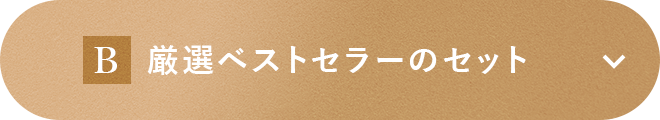 厳選ベストセラーのセット